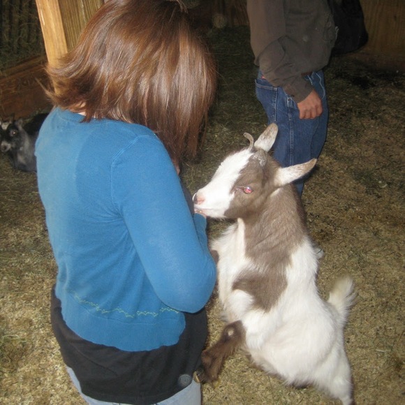 Meet your Posher, Katherine - Picture 1 of 1